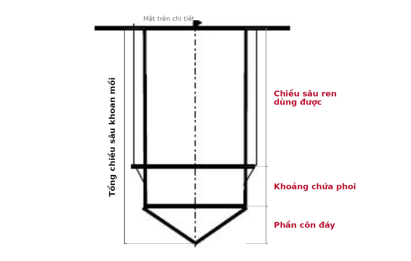 Bản vẽ cắt dọc lỗ mù minh họa ba phần của chiều sâu khoan mồi trước khi taro: phần trên là chiều sâu ren dùng được, phần giữa là khoảng chứa phoi, phần dưới là phần côn đáy do đầu mũi khoan để lại